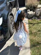 The Little Bunny Story Dress - Blue