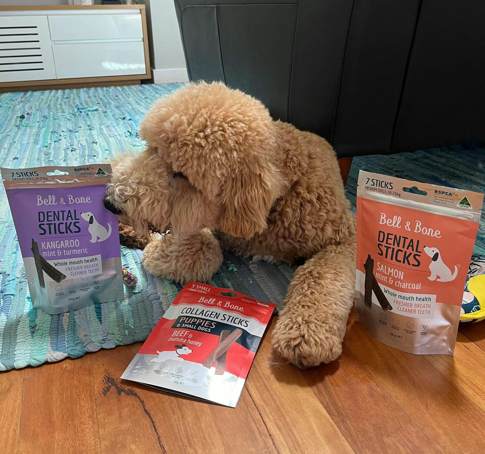 Kangaroo Dental Chews Kangaroo Dog Treats Kangaroo, Mint & Turmeric