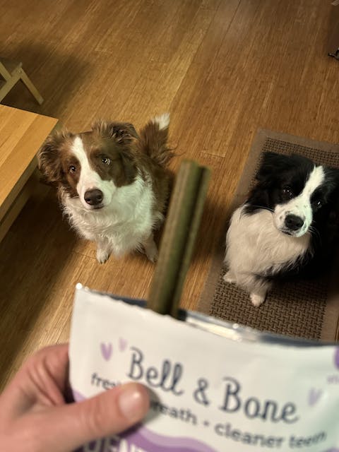 Dog Dental Treats Bundle - 4 Pack