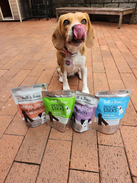 Adult Dog Dental Sticks - Kangaroo, Mint and Turmeric