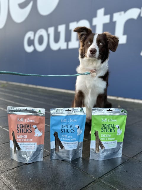 Adult Dog Dental Sticks - Lamb, Mint and Manuka Honey