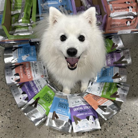 Adult Dog Dental Sticks - Lamb, Mint and Manuka Honey