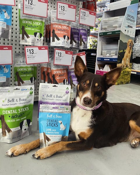 Adult Dog Dental Sticks - Kangaroo, Mint and Turmeric