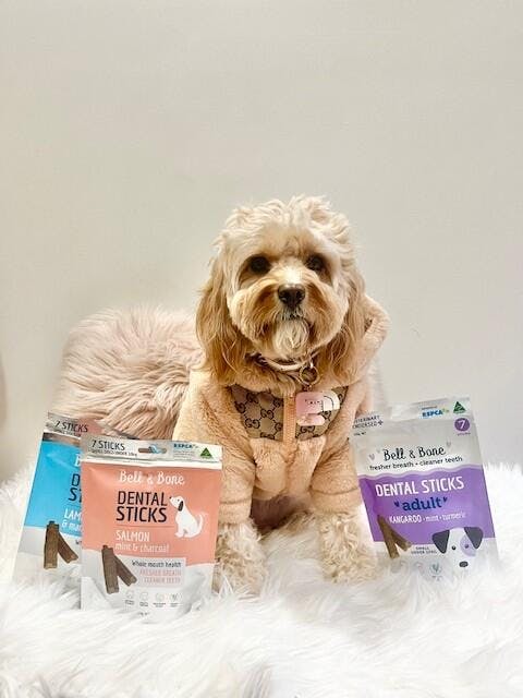 Adult Dog Dental Sticks - Salmon, Mint and Charcoal