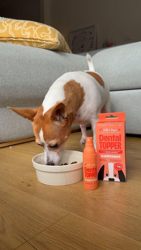 Dog Dental Topper - Salmon (30 day supply)