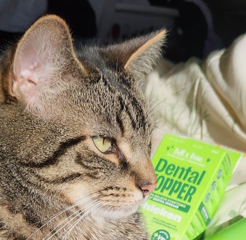 Cat Dental Topper - Chicken (30 day supply)