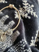 Cute Highland Cow Charm