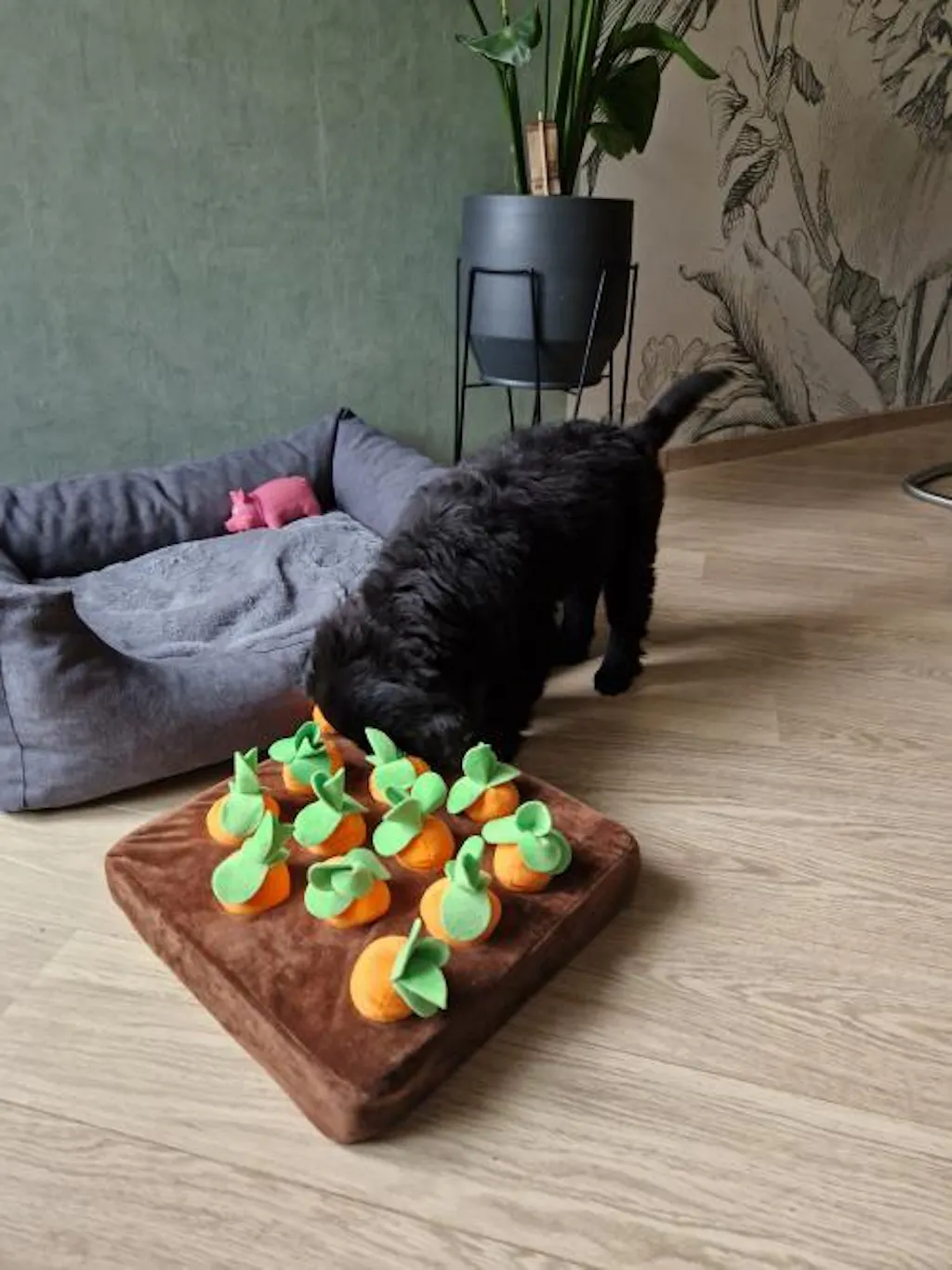 Snuffel & Puzzelspeelgoed – Daag je Hond Uit