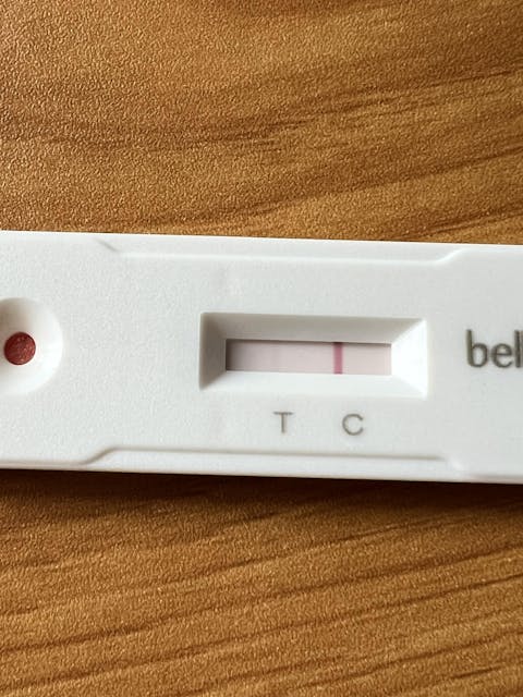Bellylabs Pregnancy Test For Dogs