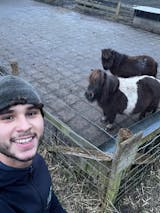 Marathon Plan Intermediate - L3