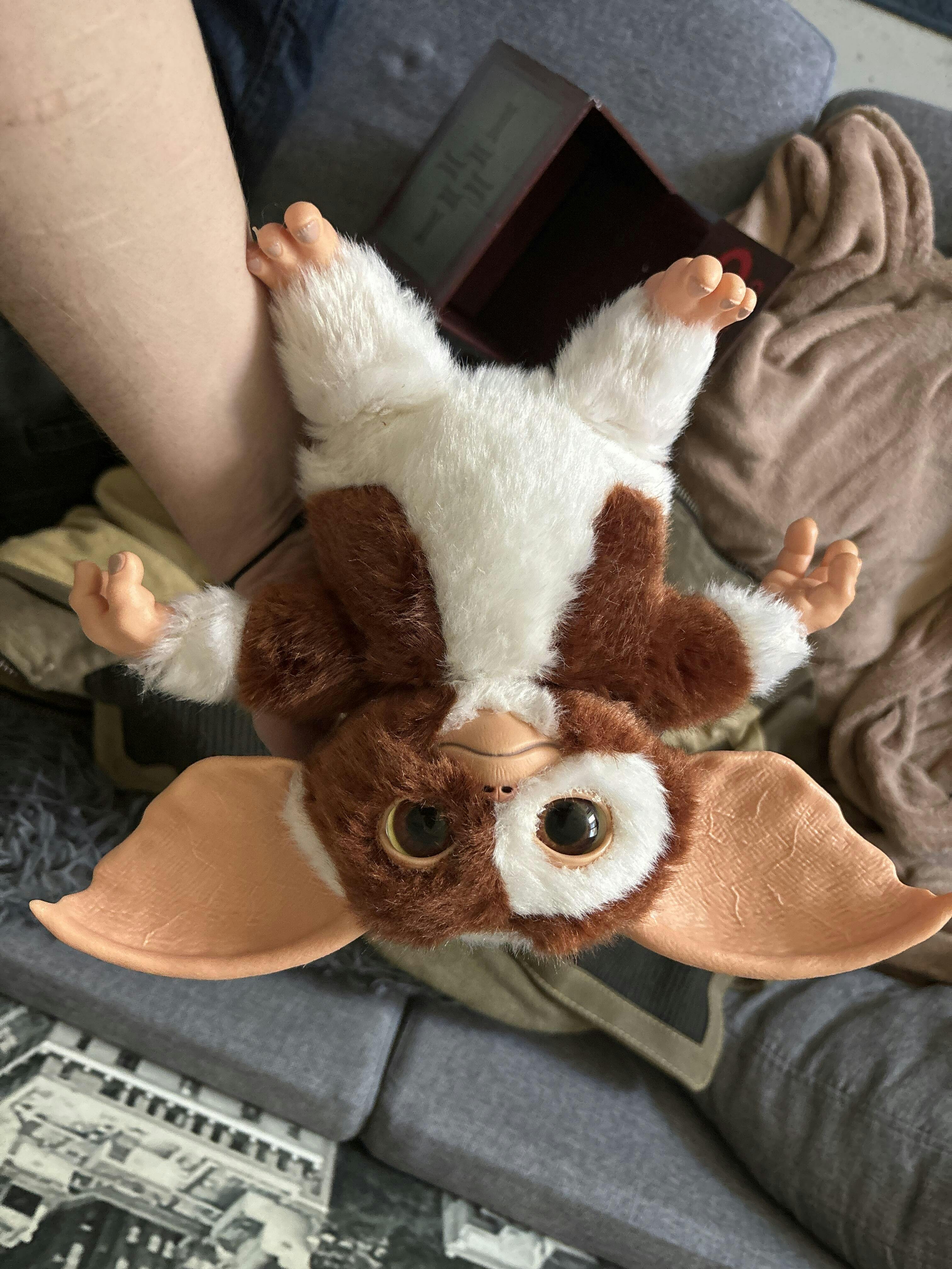 Collectables - Gremlins: Replica Gizmo Plush - Australia