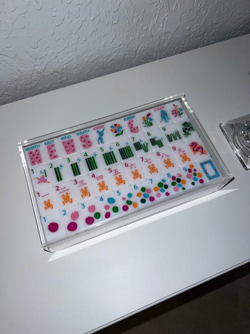 Handcrafted Springtime Safari - Bright White