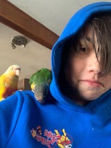 User picture