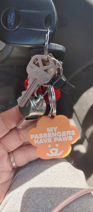 Paw Key Chain