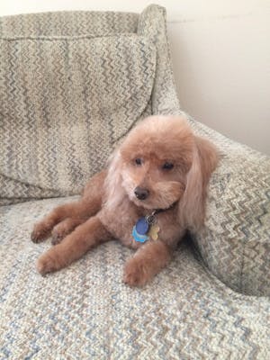 2023 Membership Calendar