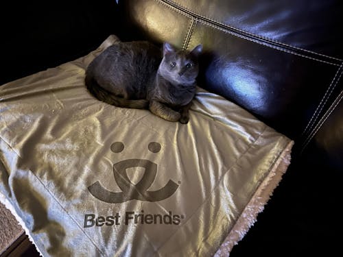 Luxe Sherpa Throw Blanket