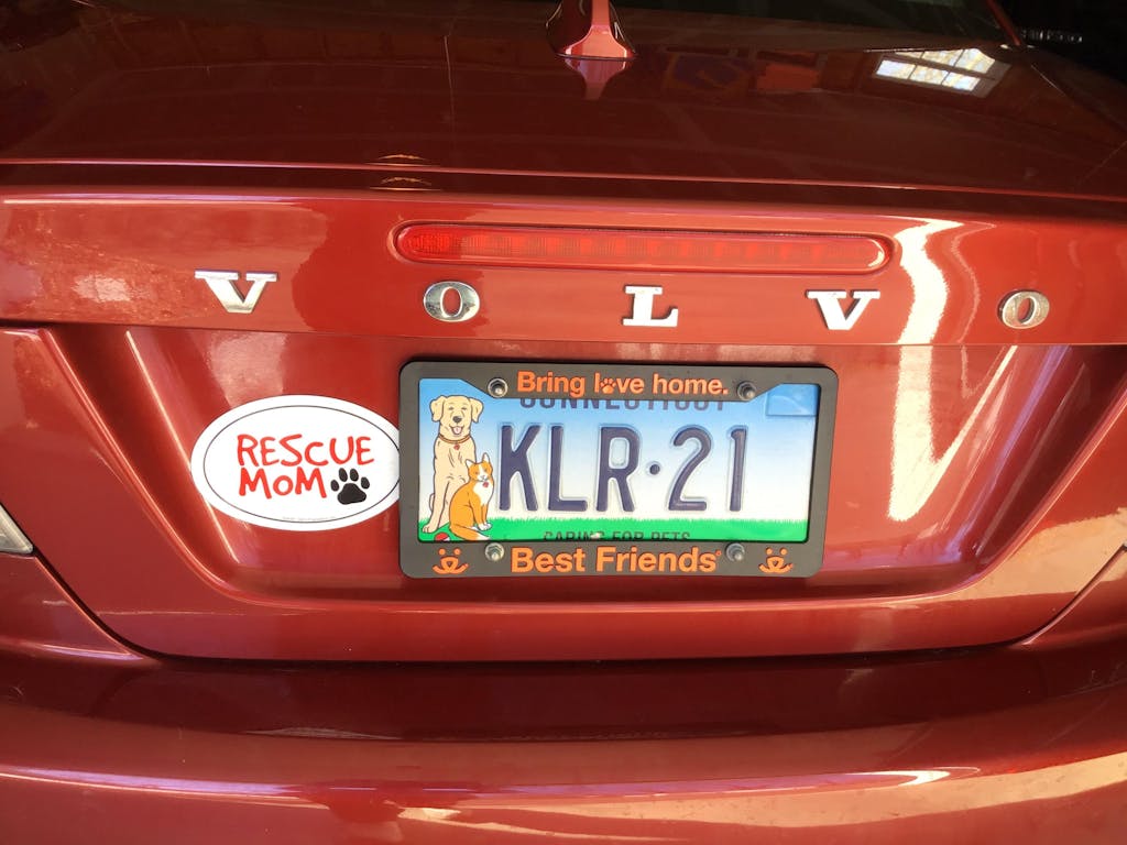 Bring Love Home License Plate Frame