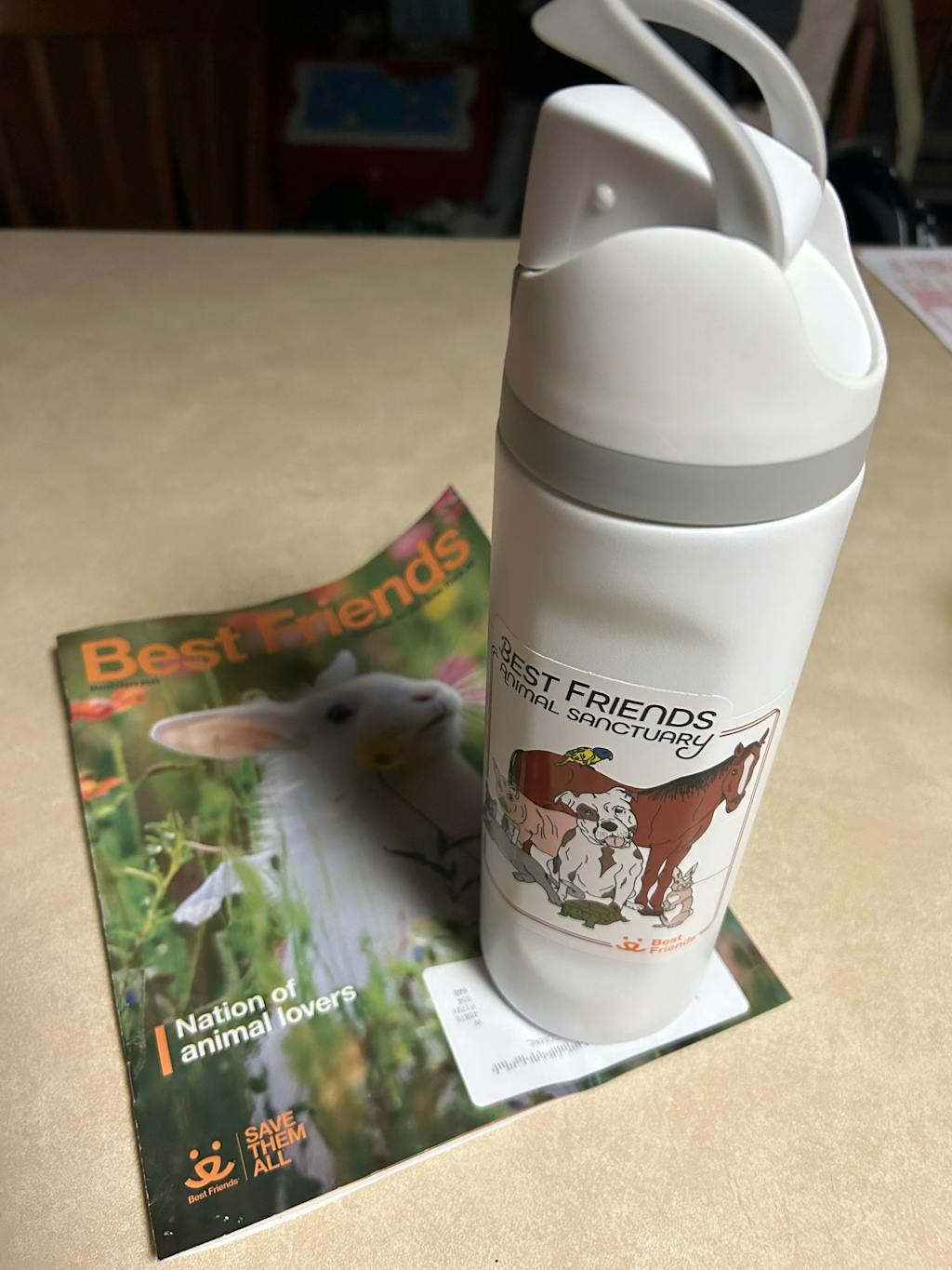 Sanctuary Smiles Sticker