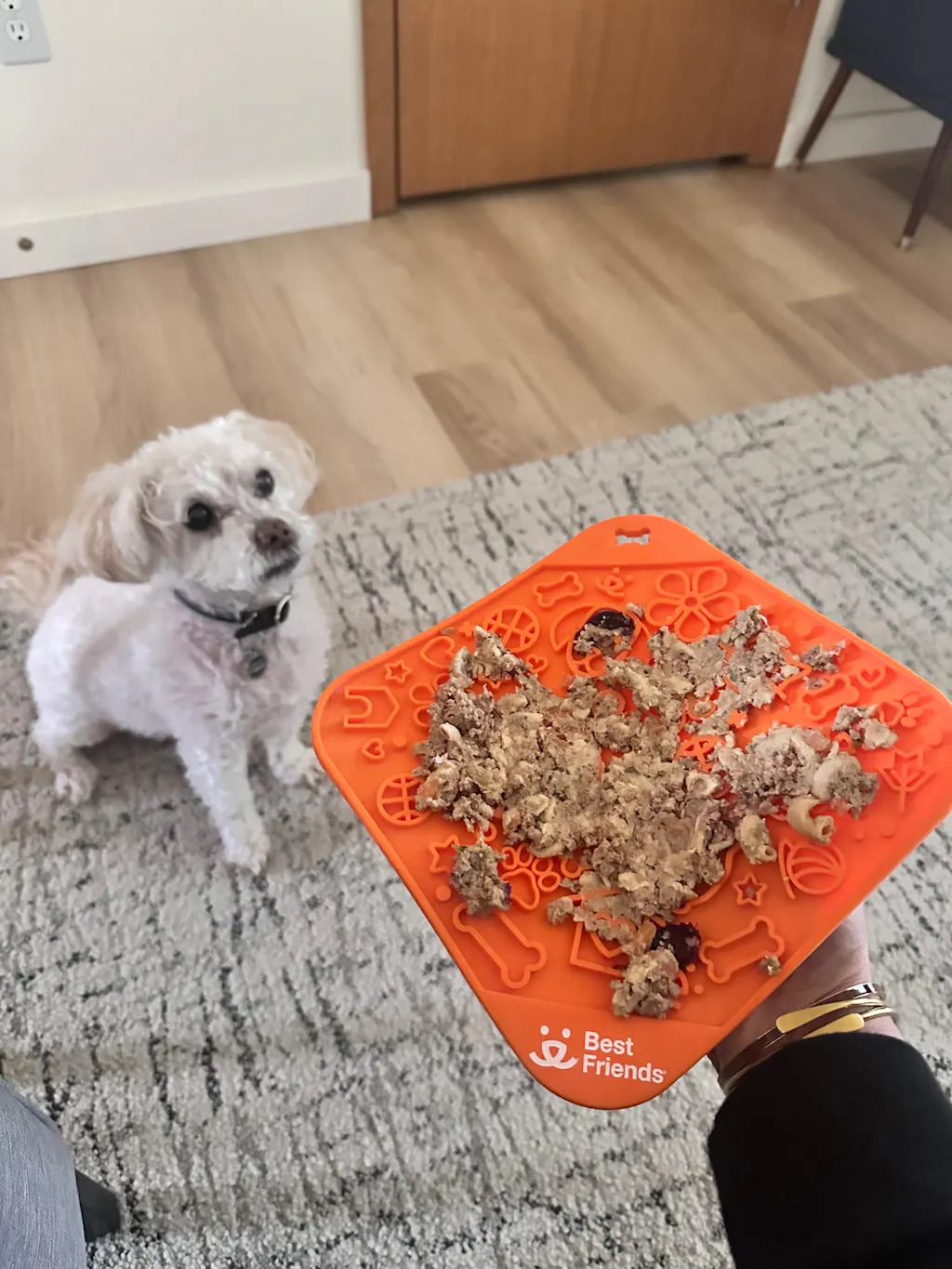 Silicone Lick Mat for Dogs & Cats