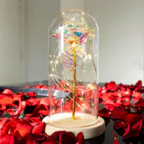 Rose Love™ Rose Flower LED Light Preserved Roses In Glass