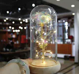 Rose Love™ Rose Flower LED Light Preserved Roses In Glass