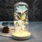 Rose Love™ Rose Flower LED Light Preserved Roses In Glass