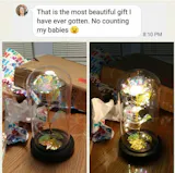 Rose Love™ Rose Flower LED Light Preserved Roses In Glass