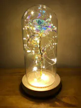 Rose Love™ Rose Flower LED Light Preserved Roses In Glass