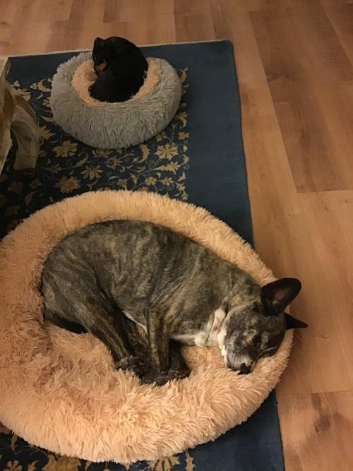 Complément Articulations