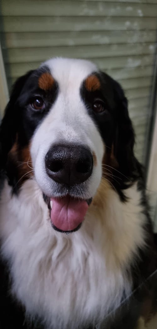 Complément Articulations