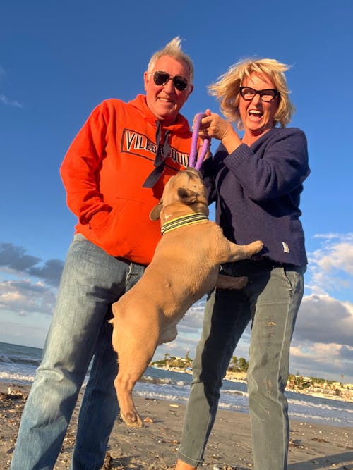 Complément Articulations