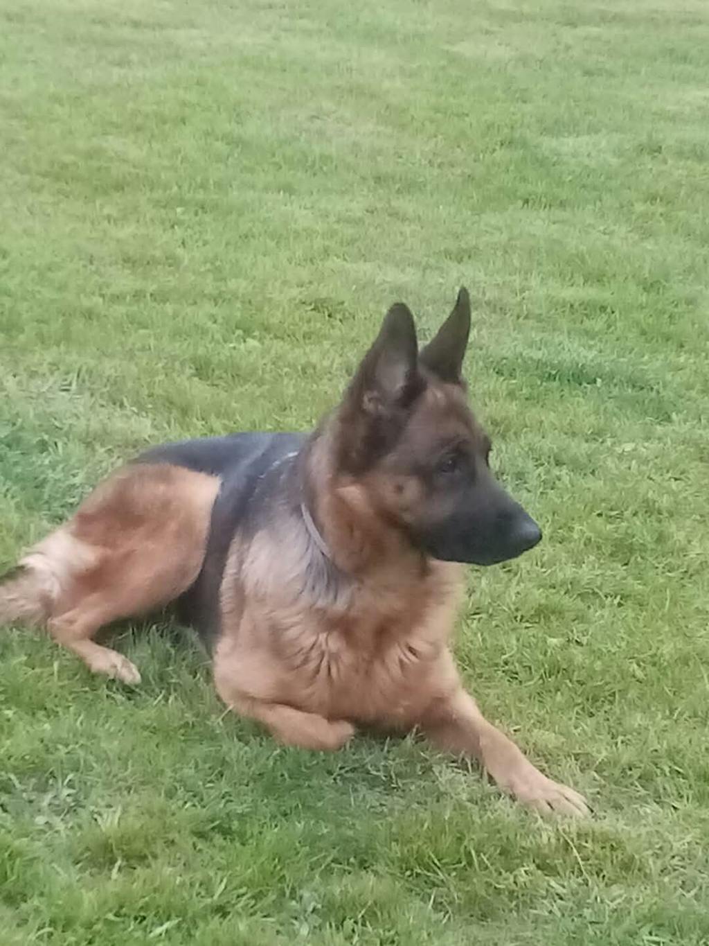 Complément Anti Démangeaisons