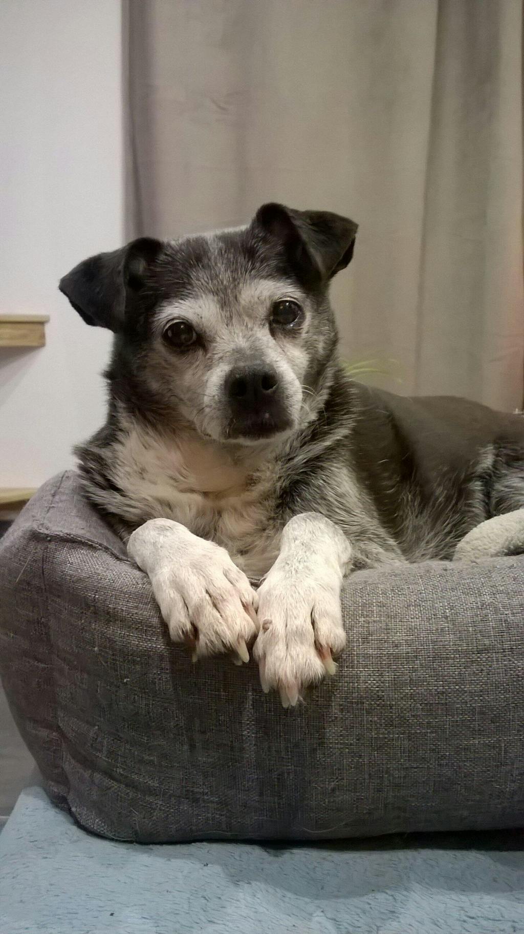 Complément Articulations