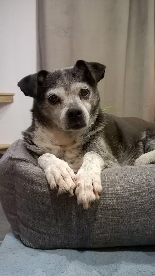 Complément Articulations