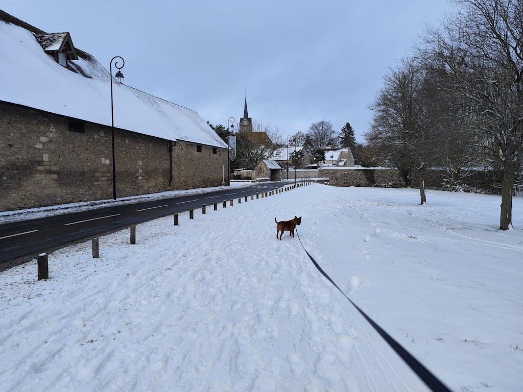 Complément Articulations