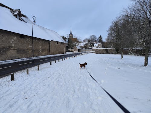 Complément Articulations