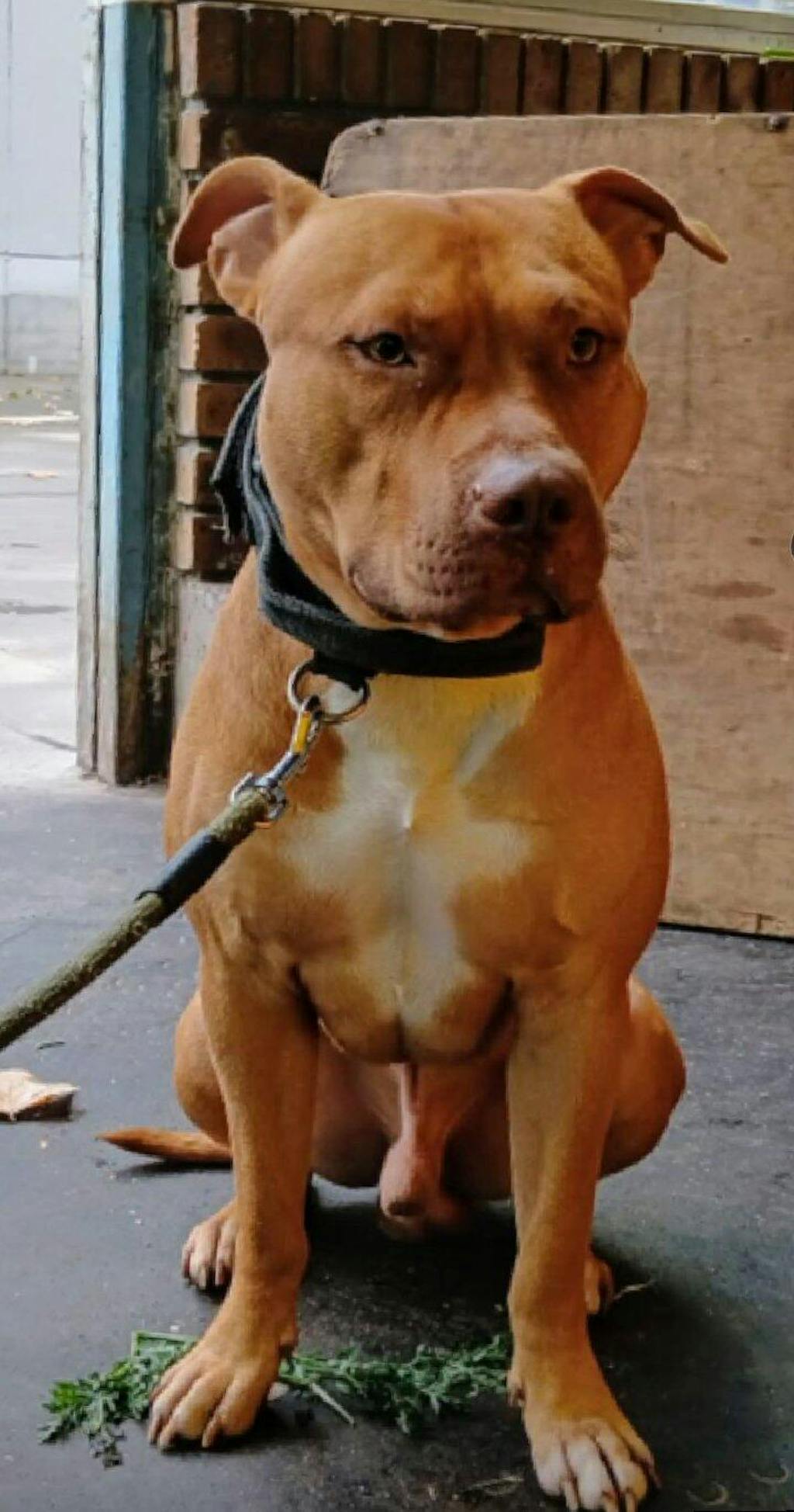 Complément Anti Démangeaisons