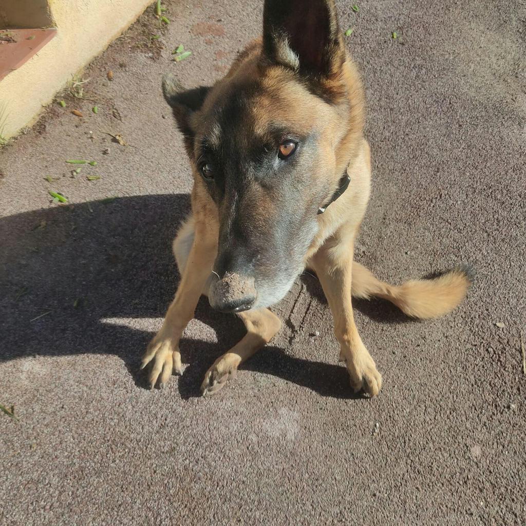 Complément Articulations