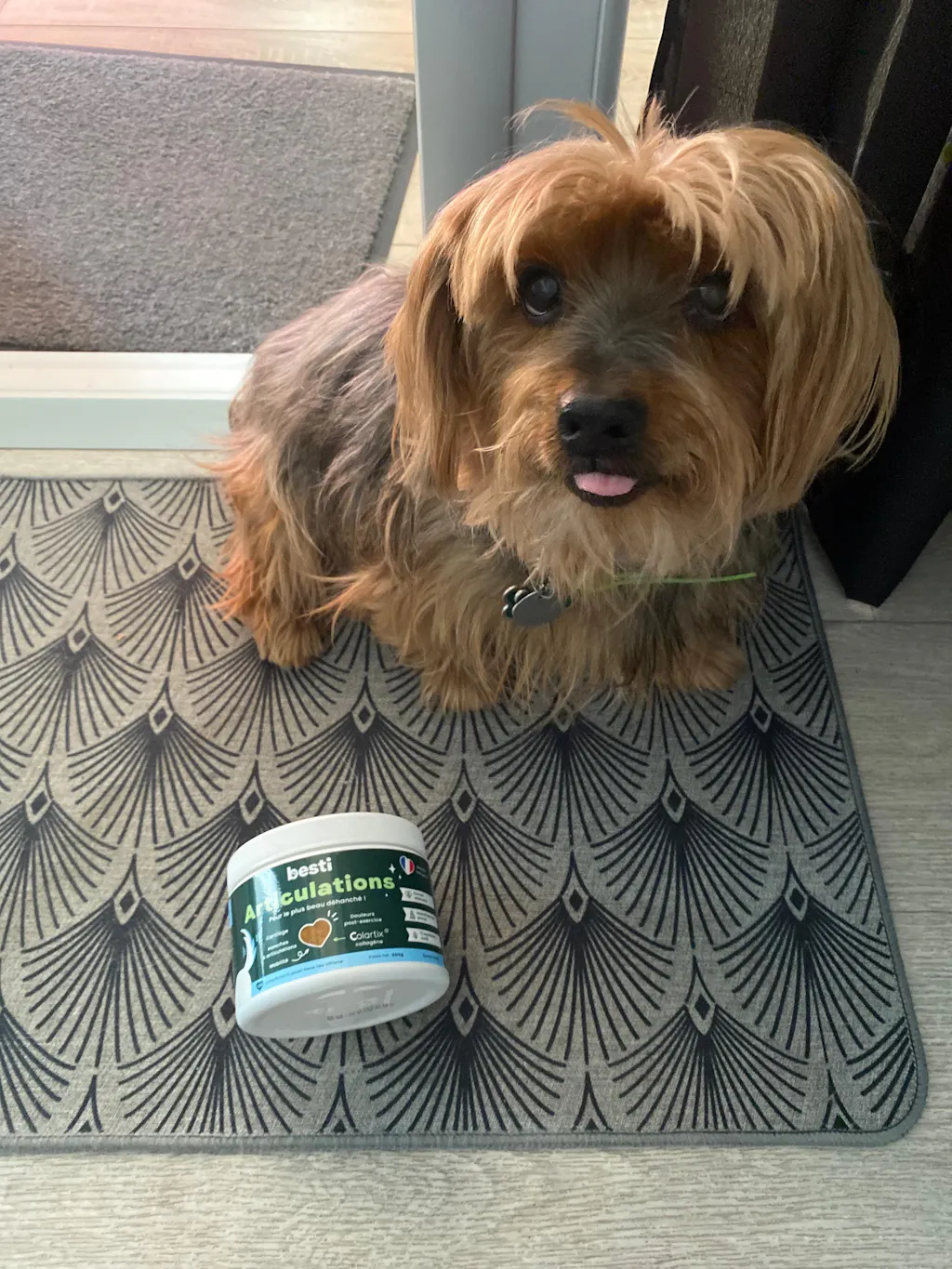 Complément Articulations