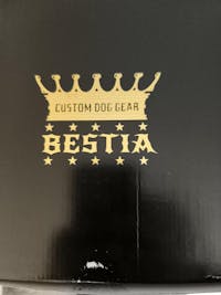 The "Maximus" collar 2.5 inch wide white & gold