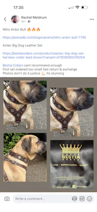 "AZTEC" BIG dog SET - Harness - collar - lead. Brown