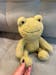Kawaii Frog Plush 23Cm