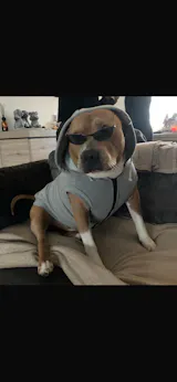 User picture