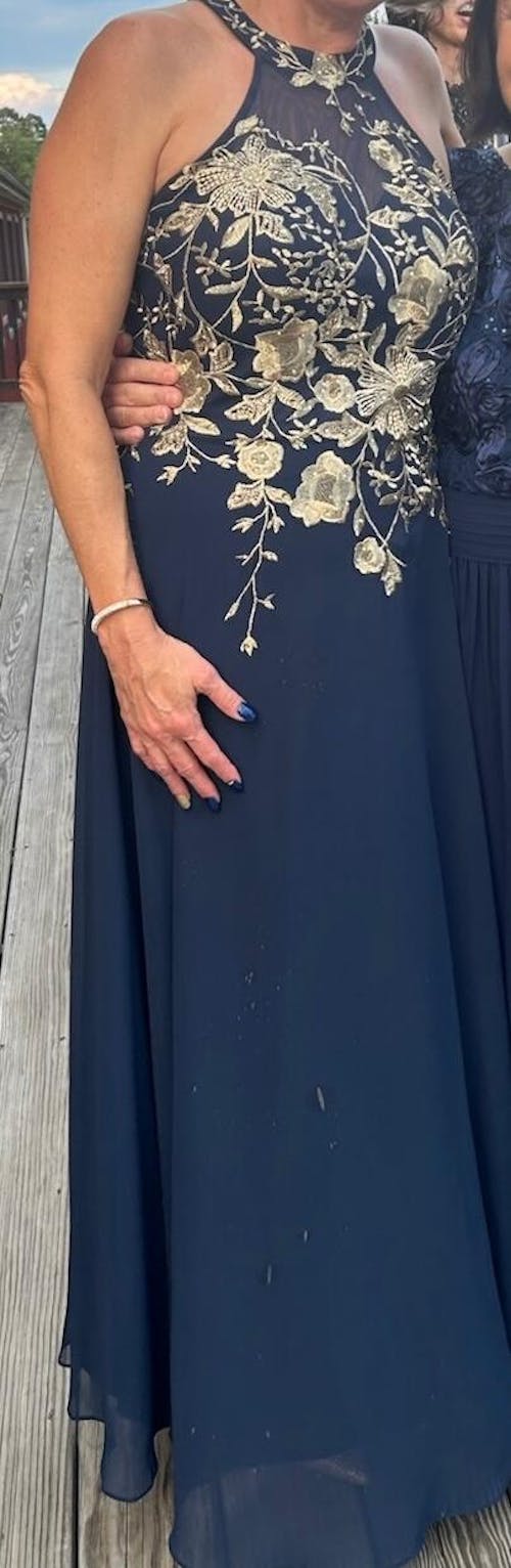 Petite "Celeste" Long Embroidered Chiffon Gown