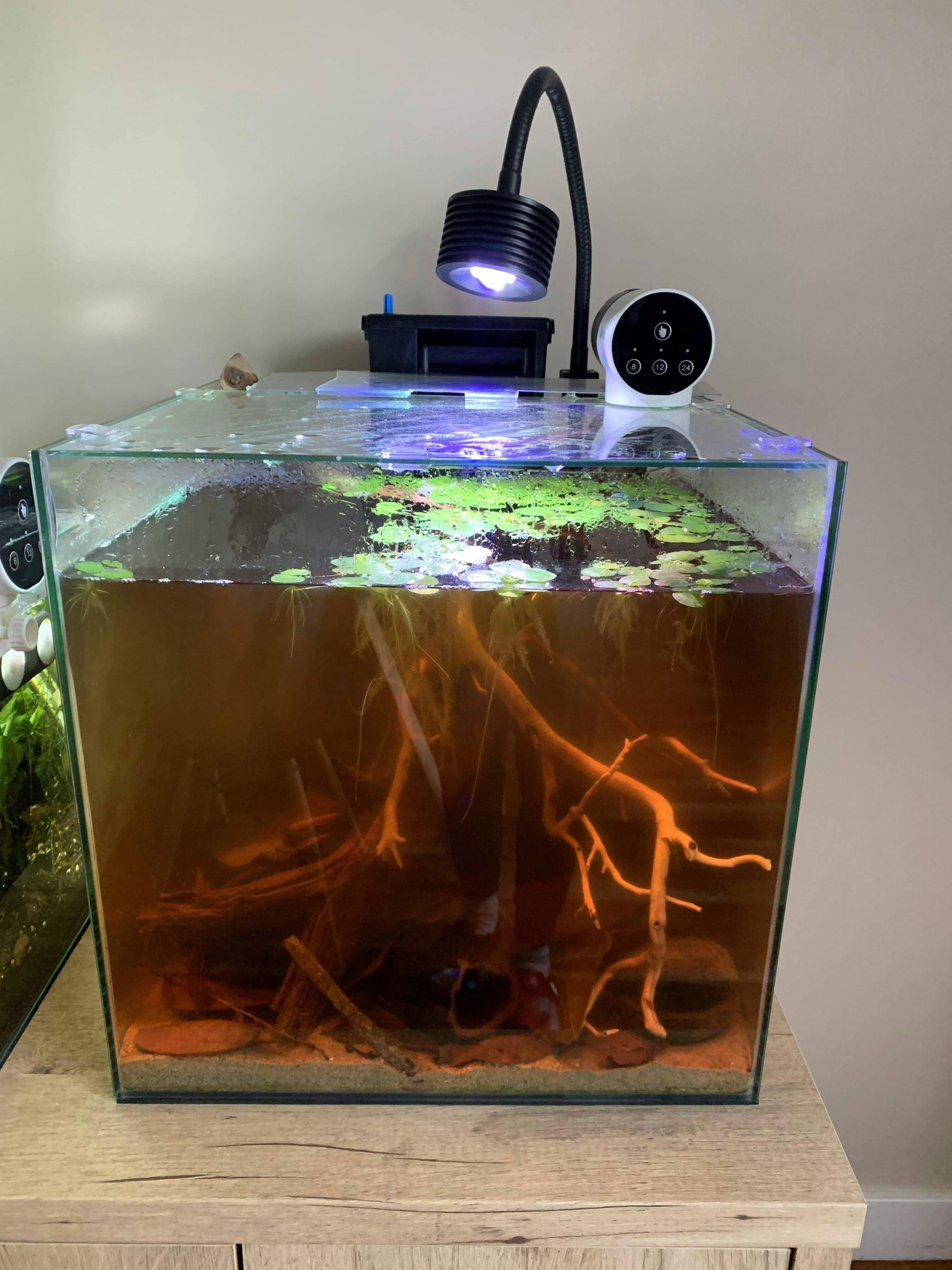 octagon aquarium
