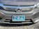 Gamma Phi Delta ΓΦΔ Greek Letters Acrylic Mirrored Laser Engraved Auto Tag License Plate