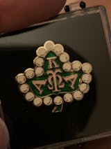 Alpha Kappa Alpha Mascot Ivy Lapel Pin - The College Crib