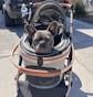 Pet Stroller with 4 Wheels, Foldable Pet Travel Carrier for Small/Medium Dogs Cats up to 50lbs, Detachble Portable Pet Bag