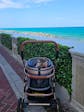 Pet Stroller with 4 Wheels, Foldable Pet Travel Carrier for Small/Medium Dogs Cats up to 50lbs, Detachble Portable Pet Bag