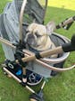 Pet Stroller with 4 Wheels, Foldable Pet Travel Carrier for Small/Medium Dogs Cats up to 50lbs, Detachble Portable Pet Bag